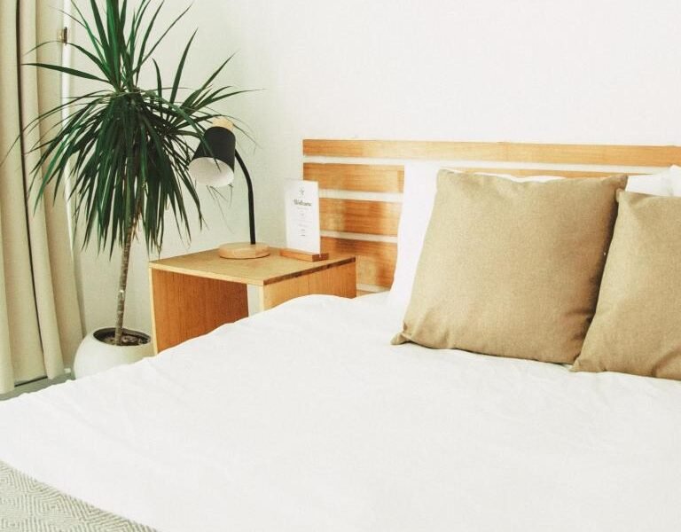 TWIN PALMS 'Surfhouse'