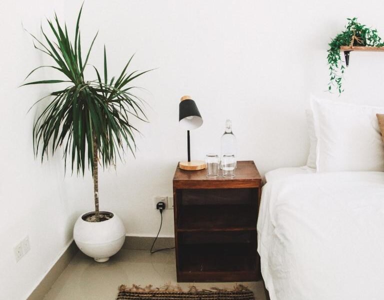 TWIN PALMS 'Surfhouse'