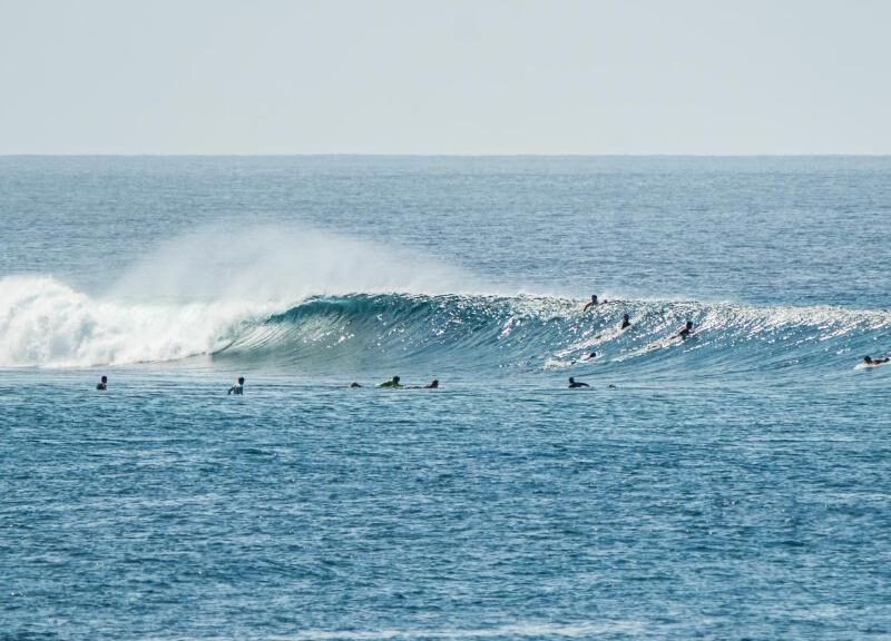 TWIN PALMS 'Surfhouse'