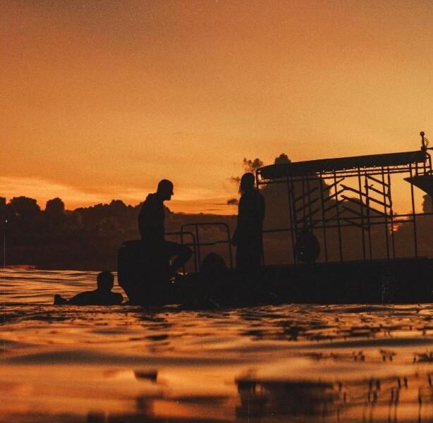 TWIN PALMS 'Surfhouse'