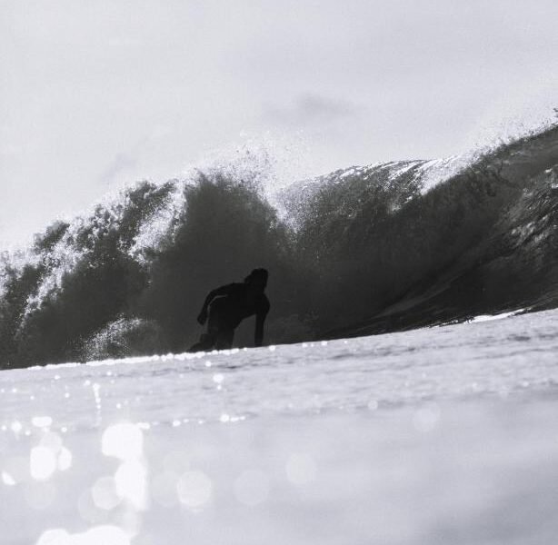 TWIN PALMS 'Surfhouse'